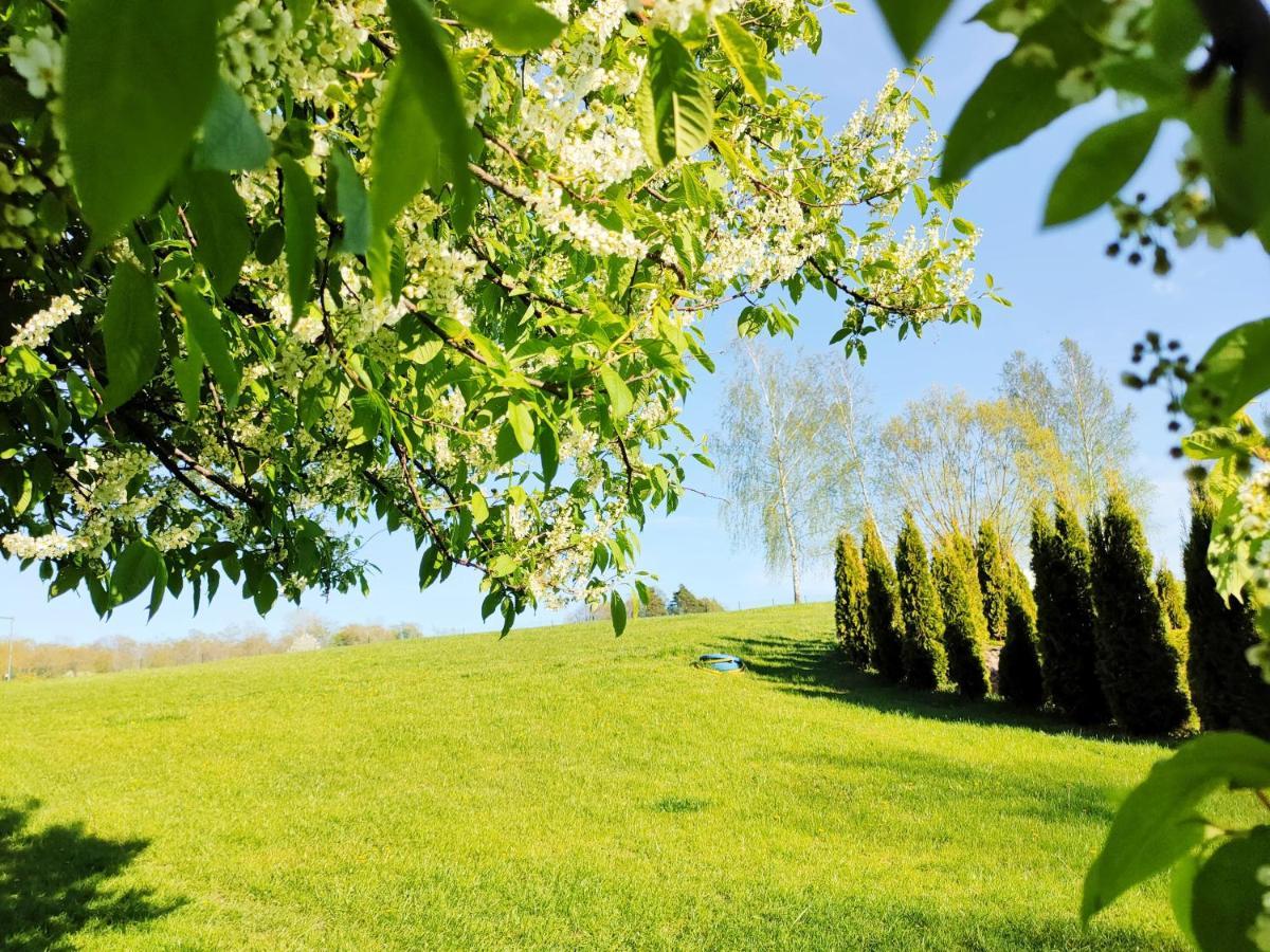 Wczasymazurskie - Domek Caloroczny " Lawenda" Mazury Moldzie Buitenkant foto