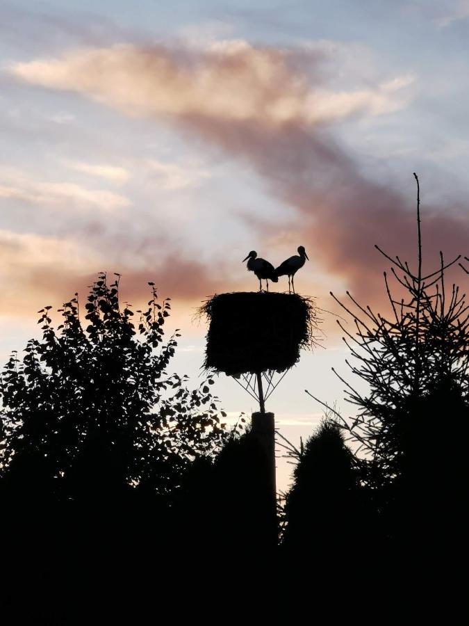 Wczasymazurskie - Domek Caloroczny " Lawenda" Mazury Moldzie Buitenkant foto